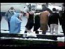 22nd seward alaska polar bear jump off p1