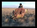 Antelope hunt with cow blind/ decoy