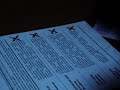 May-antiwar и Ящер показывают, как нужно себя вести в день голосования,если выборы превратились в фарс