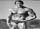 piss outta arnold schwarzeneggar piss outta arnold schwarzeneggar
