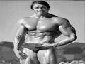 piss outta arnold schwarzeneggar