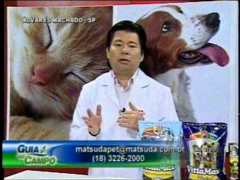 Matsuda Pet: Ciclo Estral em Cadelas