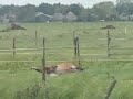 Een paard vliegt het best onderste boven