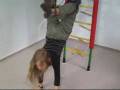 Kinder turnen am Kletterdschungel