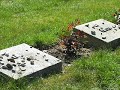 tEREZin tEREZin