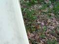 Kailey swinging