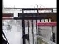 maria nazionale a scampia