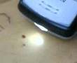 Bilimsel bir r�portaj geyik