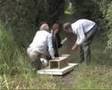 Searching for Water Voles - Water, Vole, Shropshire, Prees, Canal, Survey, Wildlife, Trust, Mink, Raft, Whitchurch