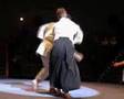 Aikibudo at FSpS Gala