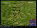 China: This year´s grain output to hit record high
