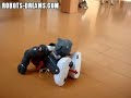COROBOT - Under $20 Humanoid Robot Kit COROBOT - Under $20 Humanoid Robot Kit