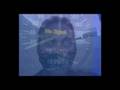 Track 17-No Signal -Digital - Screaming Circuit Circus