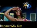 Dalmata Sexo En La Playa