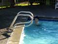 videos de Just keep swiming!