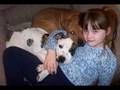 Pit Bulls - Bad Reputation