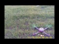 (Angelo Parabita)Free Flight Controller Maiden Flight
