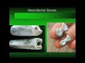 Hominoids - 20 Million Years Of Suppressed History 3/9