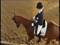 Dressur / Dressage 6 year old \"Walk of Fame\" Dressur / Dressage 6 year old \"Walk of Fame\"