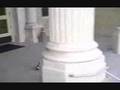 DAVID SIZEMORE SKATEPILE 2