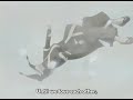 haku and zabuza tribute