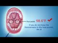 Digital Thermometer Digital Thermometer