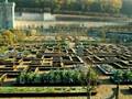 Les jardins de Villandry en hiver