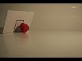 Falltuere (Stop-Motion)