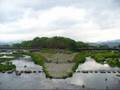 くるり 京都の大学生