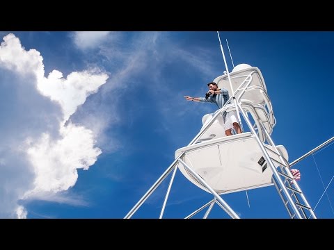 Commander 7x50 - Marine Binocular