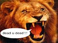 Dead U Dead Riddim - Various Artists - DJ_JaMzZ