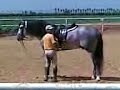 Maikel el artista susurrando al caballo
