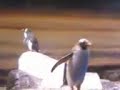 ちょっと怖い。。。