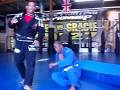 videos de 264