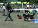 Woodsdog 2008