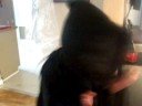 Demon Monster in My House Demon Monster in My House