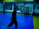 Cabr�o does Haedong Kumdo Form Eight