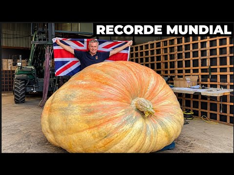 Agricultor bate recorde mundial com abóbora de 1.300KG