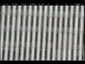 WTC Jumpers  9/11