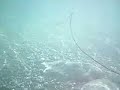 spearfishing kefalonia