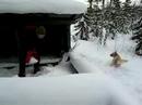 Snow Mudi