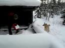 Snow Mudi