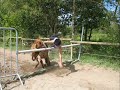 Best of de chutes, refus et d�robades a cheval (quilimar)