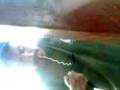 videos de comiendo.3gp