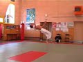 Sampler 1 tricks kata artistique Nguyen G Sampler 1 tricks kata artistique Nguyen G