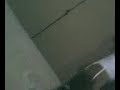 la vueltaa de monse