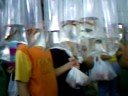 Lagosta praticando um pouco de suas insanidades enquanto seus amigos Bicolor e Bótia passeam pelo aquário. 
