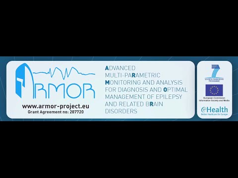 WSN Architectures and Decision Support Systems for Epilepsy Monitoring