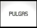 Pulgas - MTV