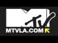 Pulgas - MTV